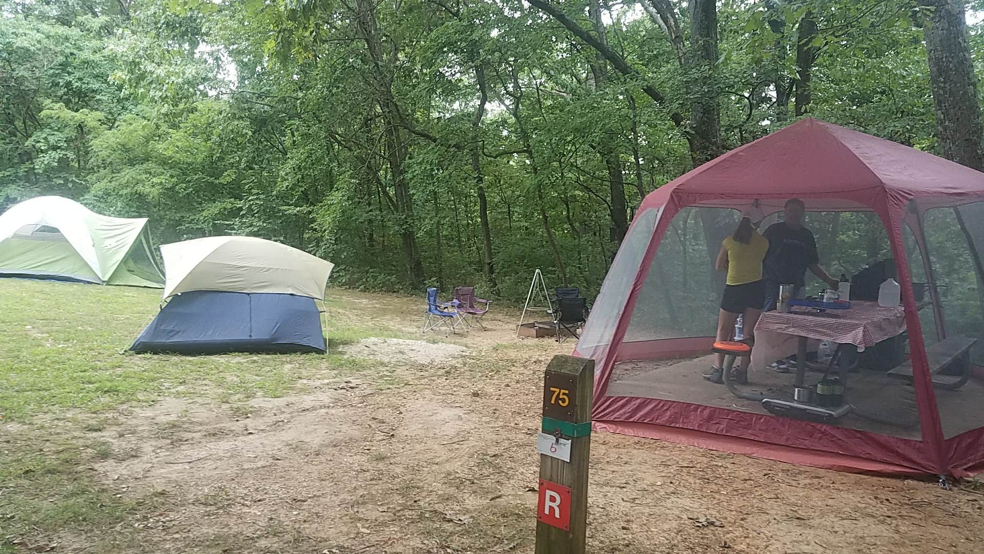 Camper-submitted photo at Dr. Edmund A. Babler Memorial State Park Campground near Normandy, MO