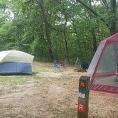 Review photo of Dr. Edmund A. Babler Memorial State Park Campground by April D., July 19, 2018