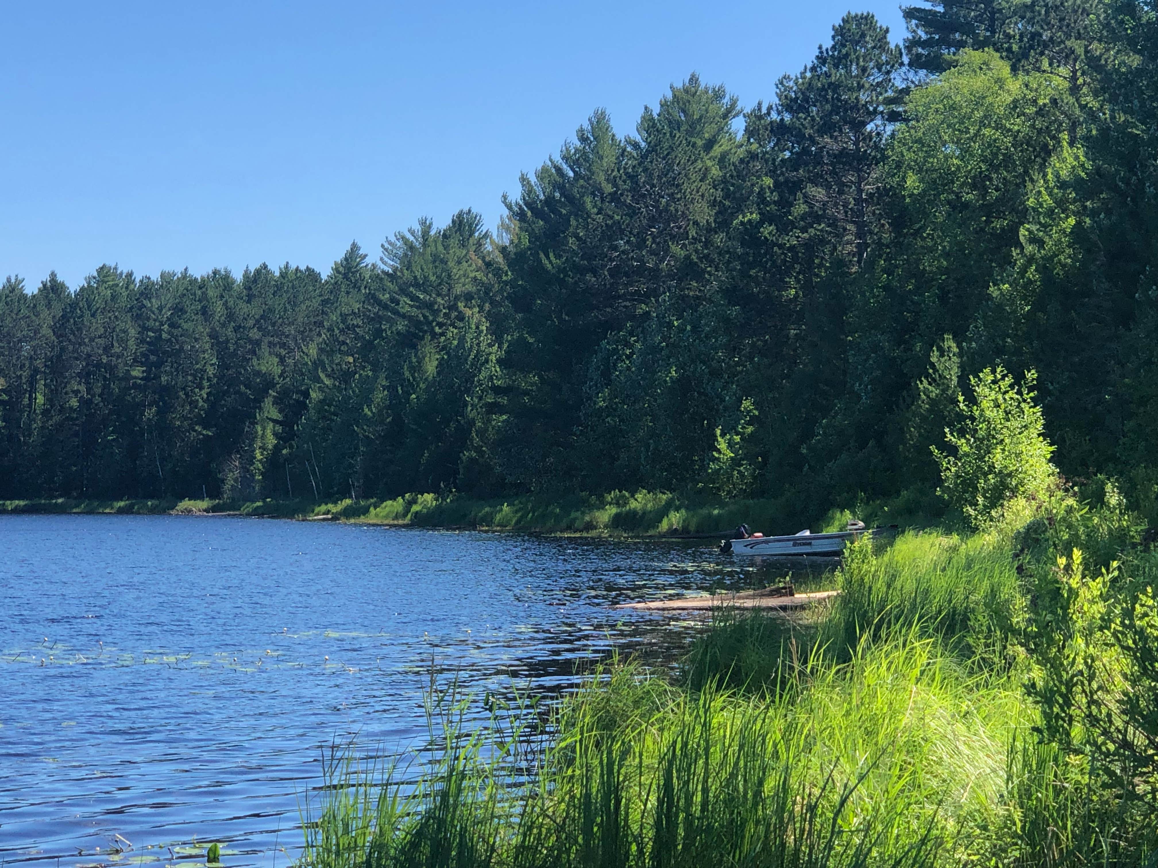 Camper submitted image from Emily Lake NF Campground - 5