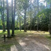 Review photo of Babcock State Park Campground by Shana D., July 18, 2022