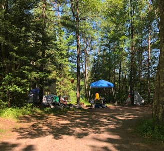 Camper-submitted photo from Emily Lake NF Campground