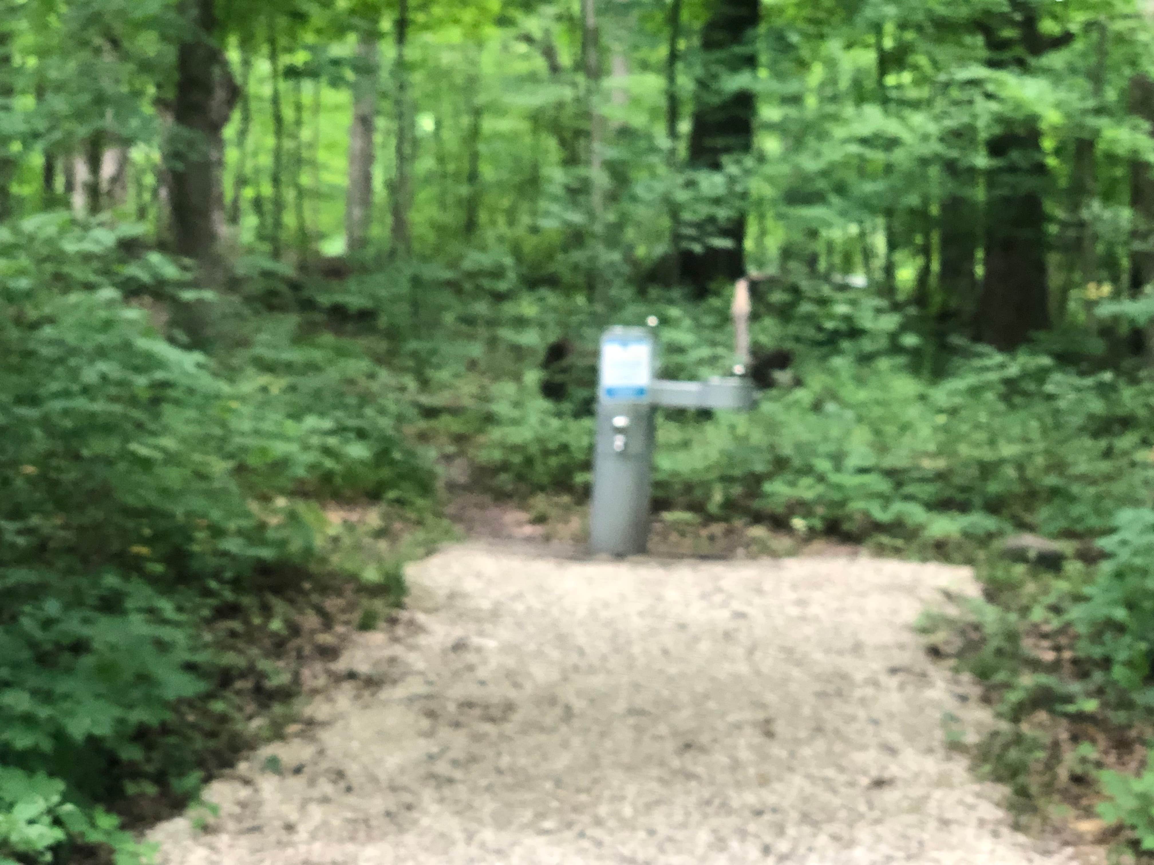 Wisconsin's Pike Lake Campground, Site #3 Review, Kettle Moraine State  Forest