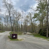 Review photo of Pickett CCC Memorial State Park Campground by Shana D., July 18, 2022