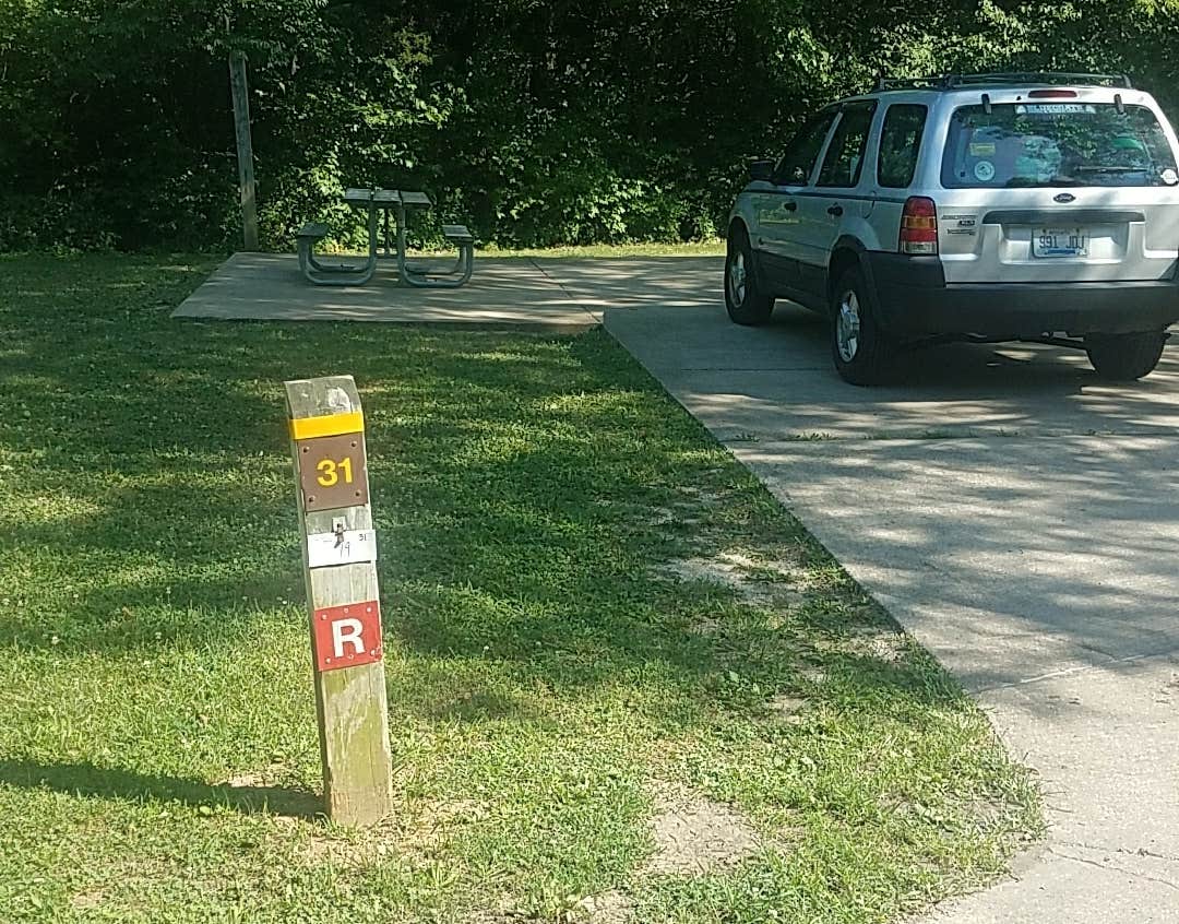 Camper submitted image from Dr. Edmund A. Babler Memorial State Park Campground - 4