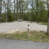 Review photo of Pickett CCC Memorial State Park Campground by Shana D., July 18, 2022