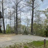 Review photo of Pickett CCC Memorial State Park Campground by Shana D., July 18, 2022