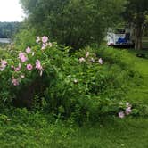 Review photo of Cove Lake State Park Campground by Matt B., July 18, 2022