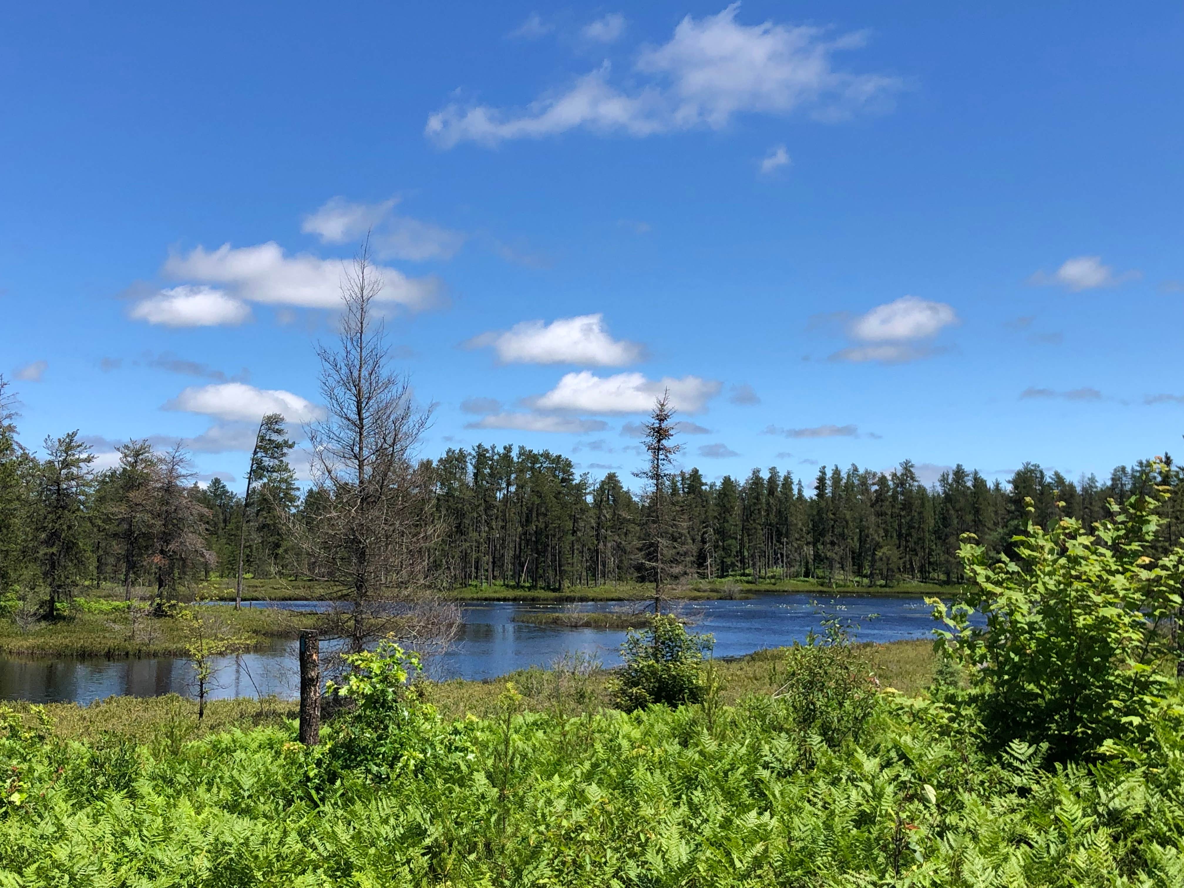 Camper-submitted photo at Big Lake State Forest Campground near Watton, MI