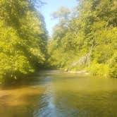 Review photo of Peterson Bridge by April D., July 19, 2018