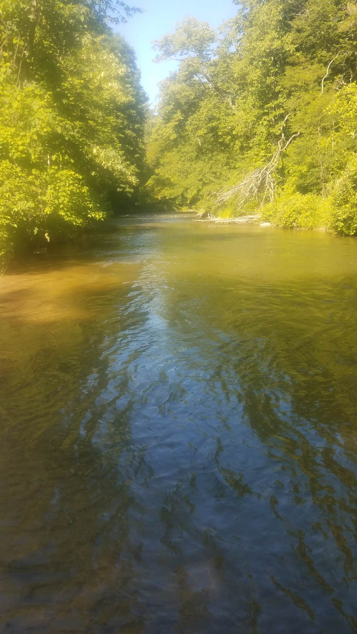 Camper submitted image from Peterson Bridge - 5