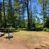 Review photo of Big Lake State Forest Campground by Art S., July 18, 2022