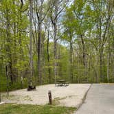 Review photo of Bandy Creek Campground — Big South Fork National River and Recreation Area by Shana D., July 18, 2022