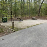 Review photo of Bandy Creek Campground — Big South Fork National River and Recreation Area by Shana D., July 18, 2022