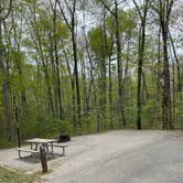 Review photo of Bandy Creek Campground — Big South Fork National River and Recreation Area by Shana D., July 18, 2022