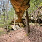 Review photo of Bandy Creek Campground — Big South Fork National River and Recreation Area by Shana D., July 18, 2022