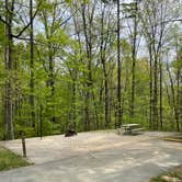 Review photo of Bandy Creek Campground — Big South Fork National River and Recreation Area by Shana D., July 18, 2022