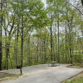 Review photo of Bandy Creek Campground — Big South Fork National River and Recreation Area by Shana D., July 18, 2022