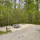 Review photo of Bandy Creek Campground — Big South Fork National River and Recreation Area by Shana D., July 18, 2022