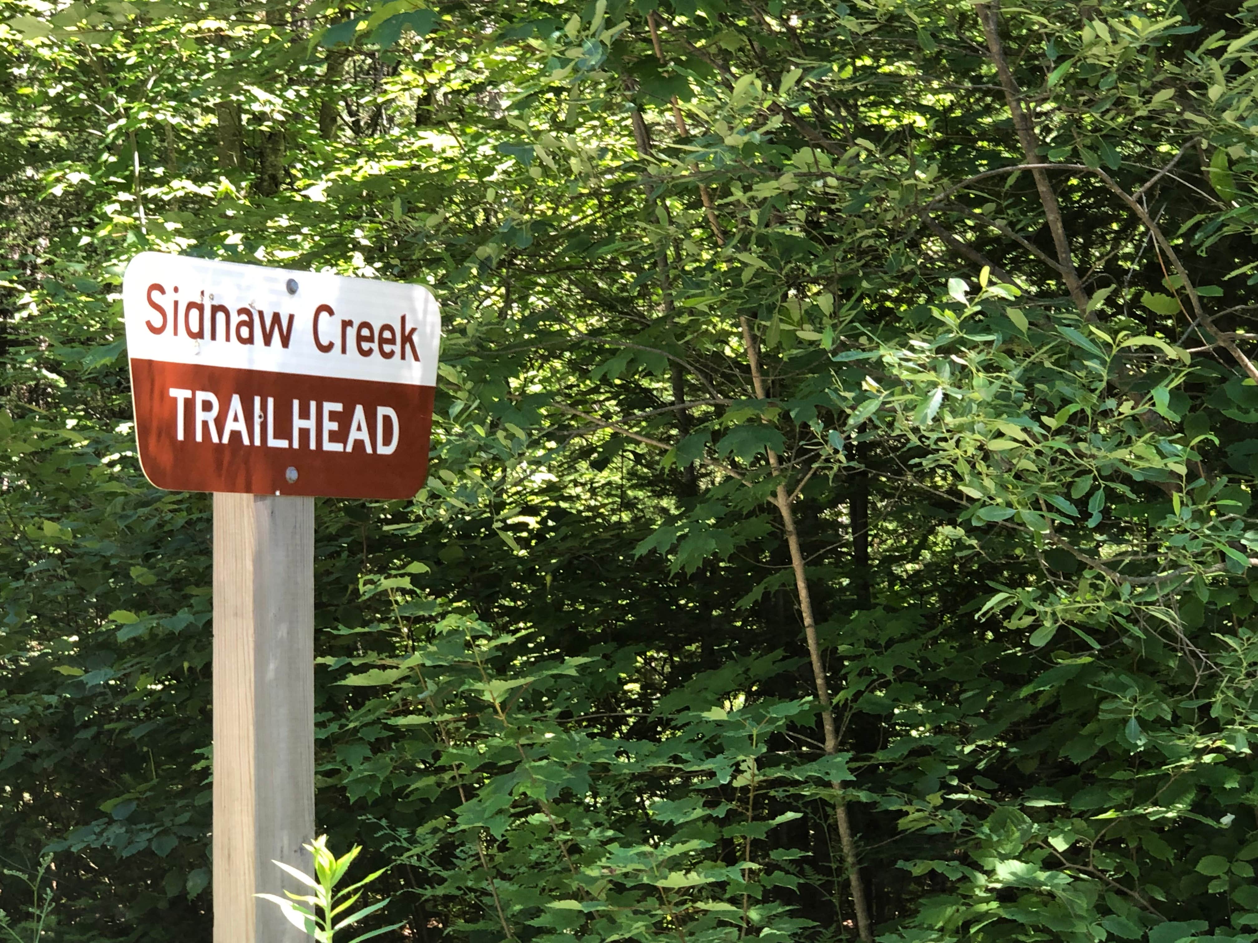 Camper-submitted photo at Sturgeon River Campground near Trout Creek, MI