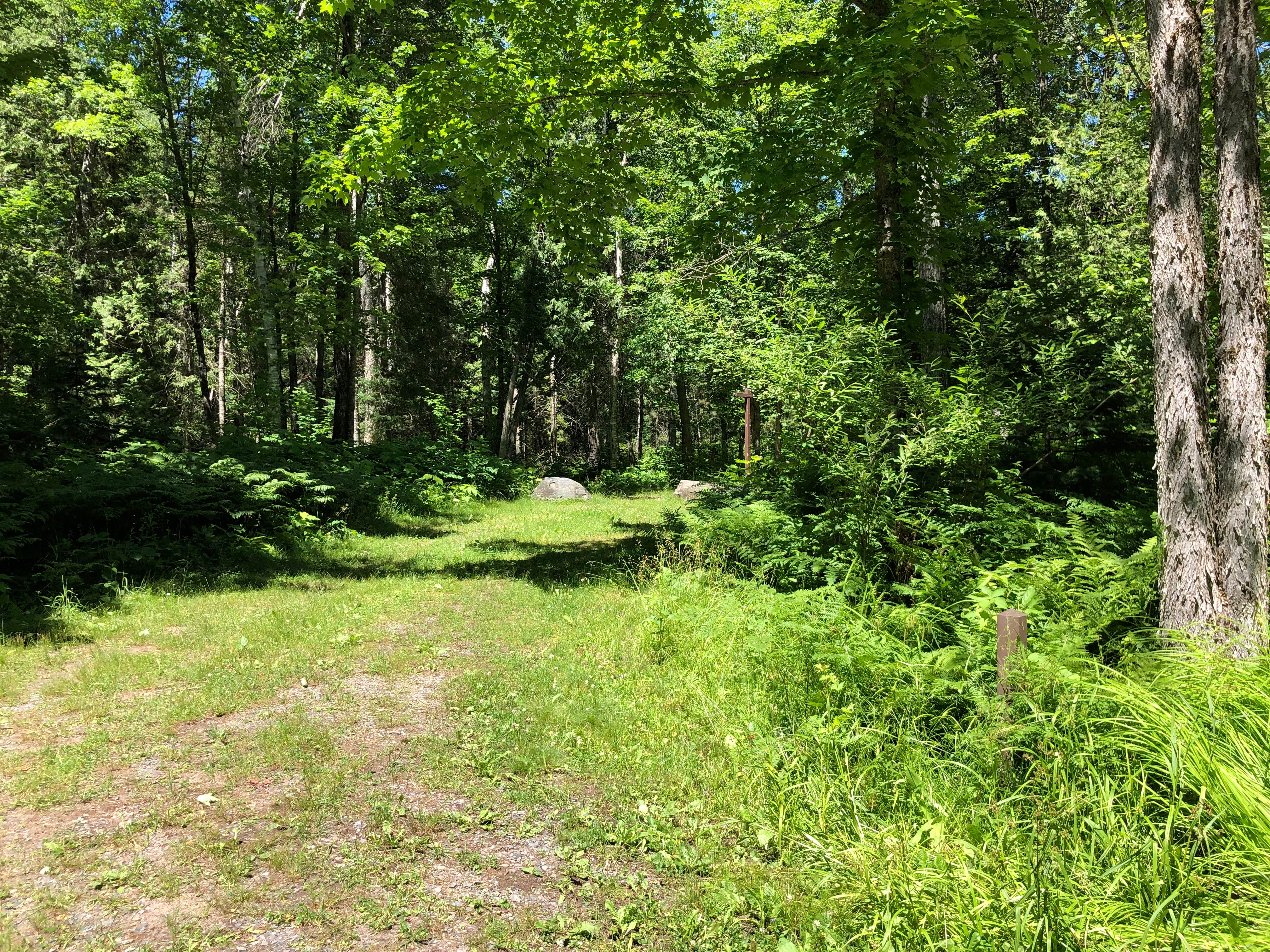 Camper-submitted photo at Sturgeon River Campground near Trout Creek, MI