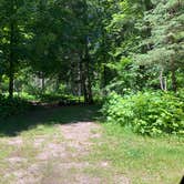 Review photo of Sturgeon River Campground by Art S., July 18, 2022