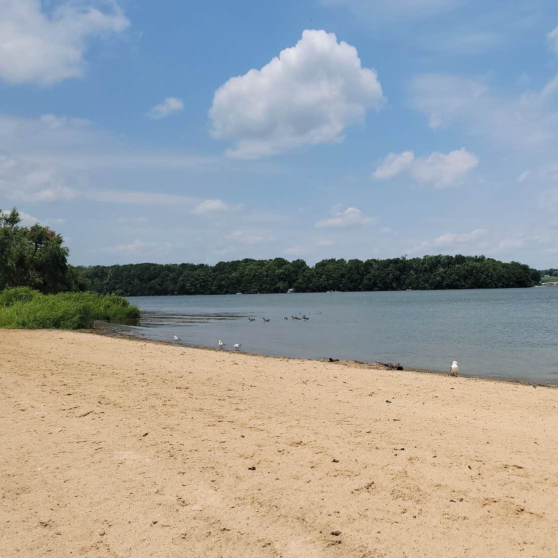 Rocky Fork State Park Campground Hillsboro, OH