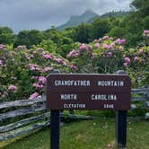 Review photo of Grandfather Mountain Campground by Shana D., July 18, 2022