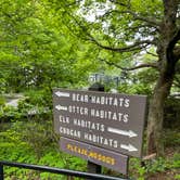 Review photo of Grandfather Mountain Campground by Shana D., July 18, 2022