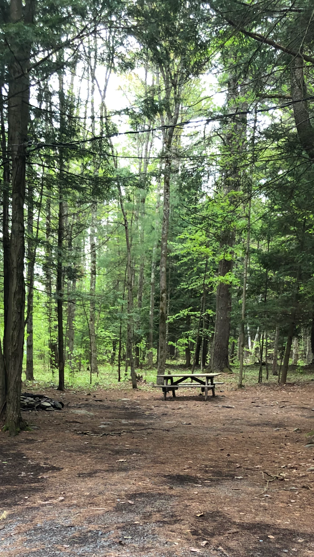 Camper-submitted photo at Country Roads Campground near Hunter, NY