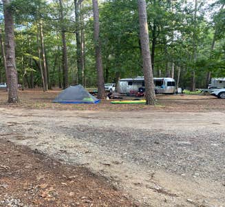 Camper-submitted photo from The Lakeshore Campground — Santee State Park