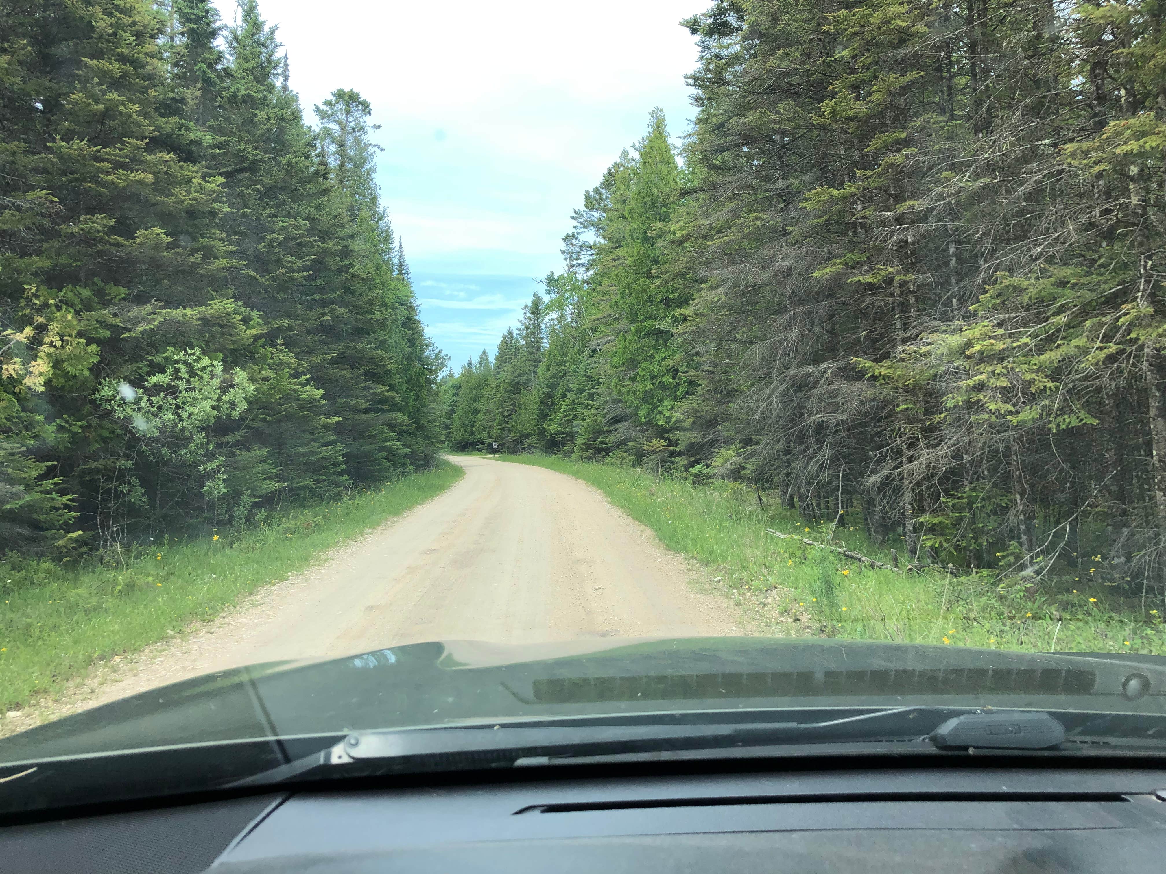 Camper submitted image from Portage Bay State Forest Campground - 4