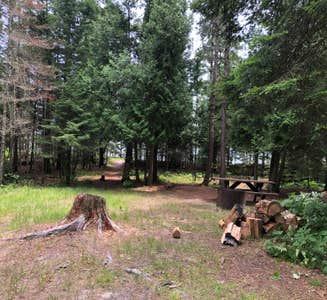 Camper-submitted photo from Portage Bay State Forest Campground