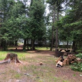 Review photo of Portage Bay State Forest Campground by Art S., July 18, 2022