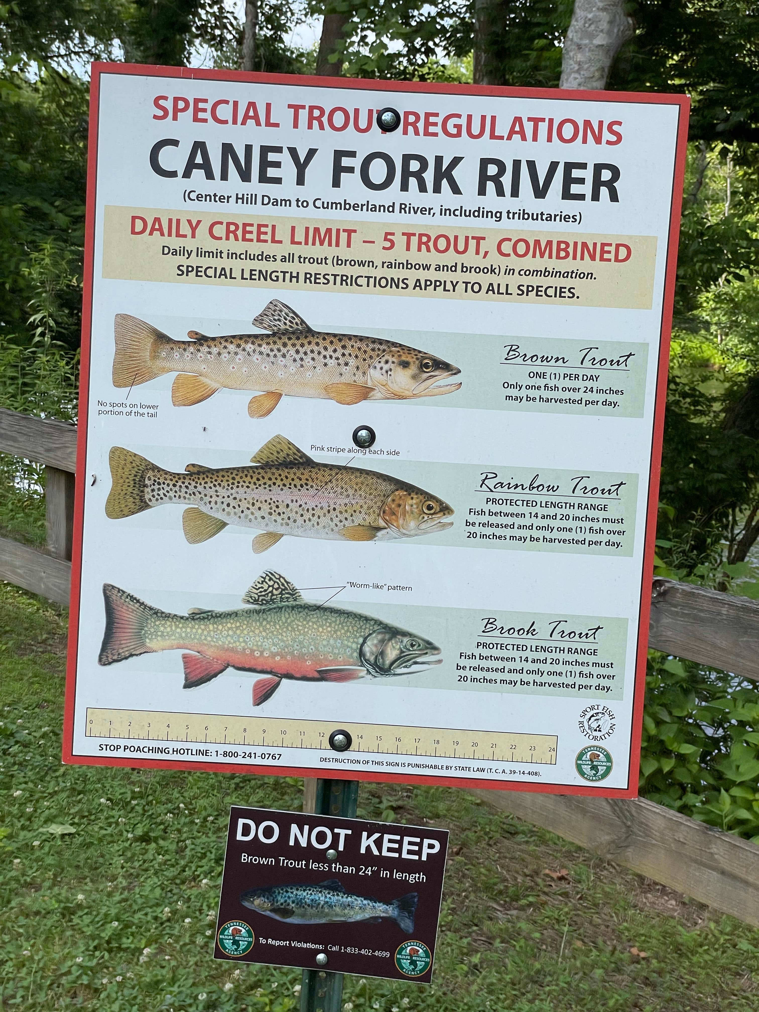 Camper-submitted photo at Center Hill Lake Primitive Camping Areas — Center Hill Lake near Carthage, TN