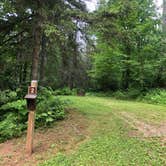 Review photo of Genes Pond State Forest Campground by Art S., July 18, 2022