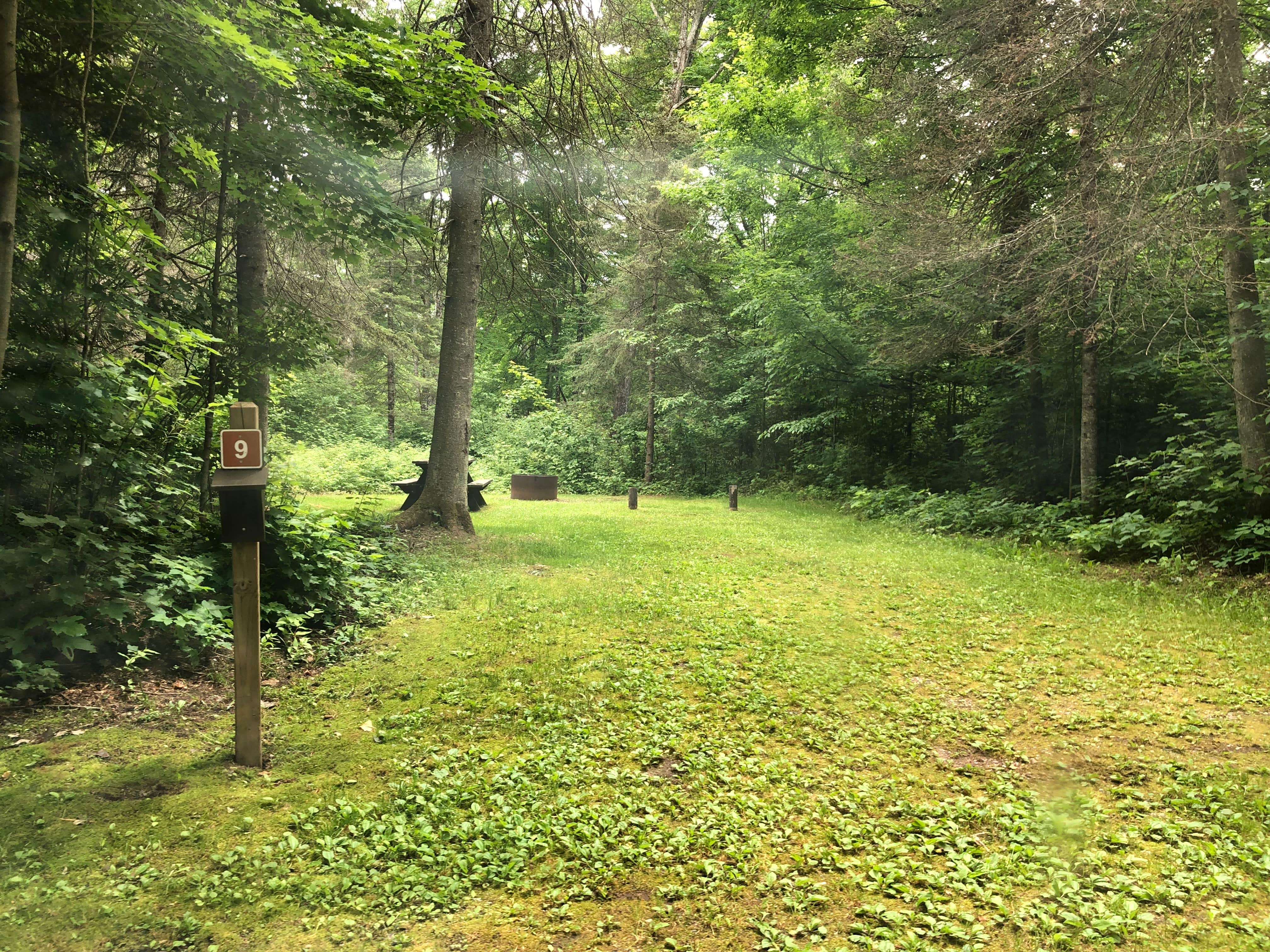 Camper-submitted photo at Genes Pond State Forest Campground near Norway, MI