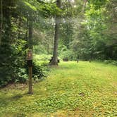 Review photo of Genes Pond State Forest Campground by Art S., July 18, 2022