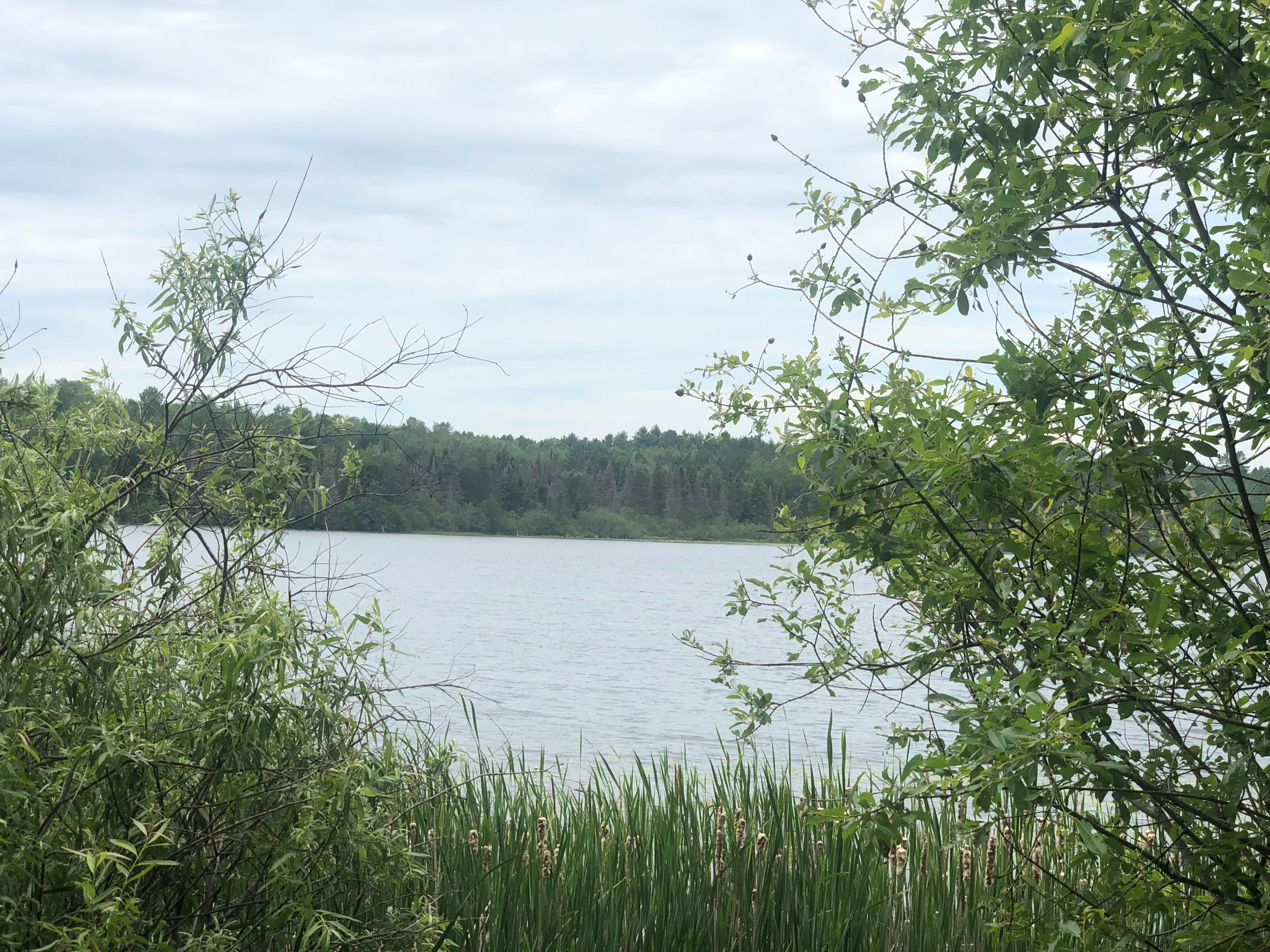 Camper-submitted photo at Genes Pond State Forest Campground near Norway, MI