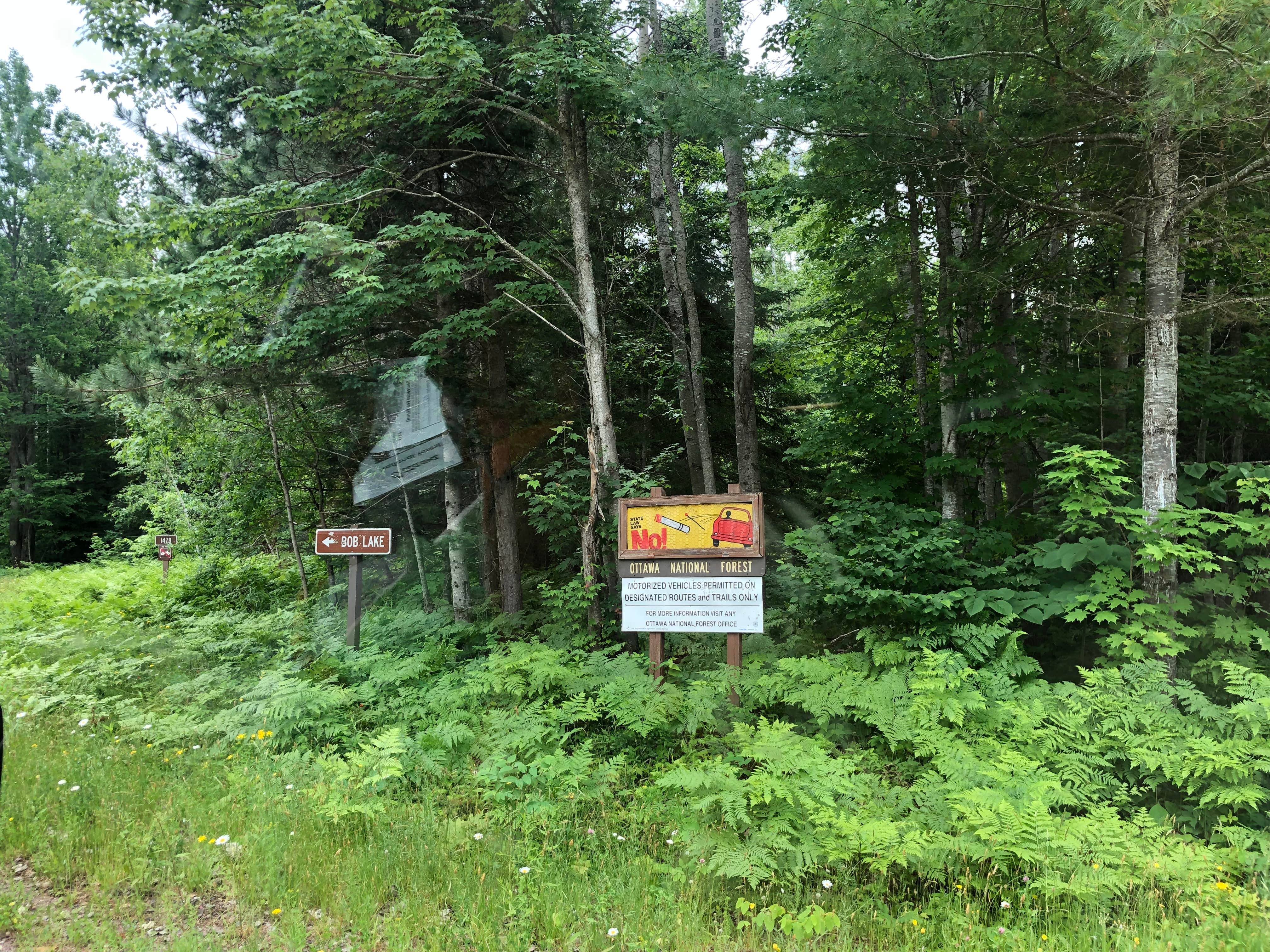Camper-submitted photo at Bob Lake Campground near Trout Creek, MI