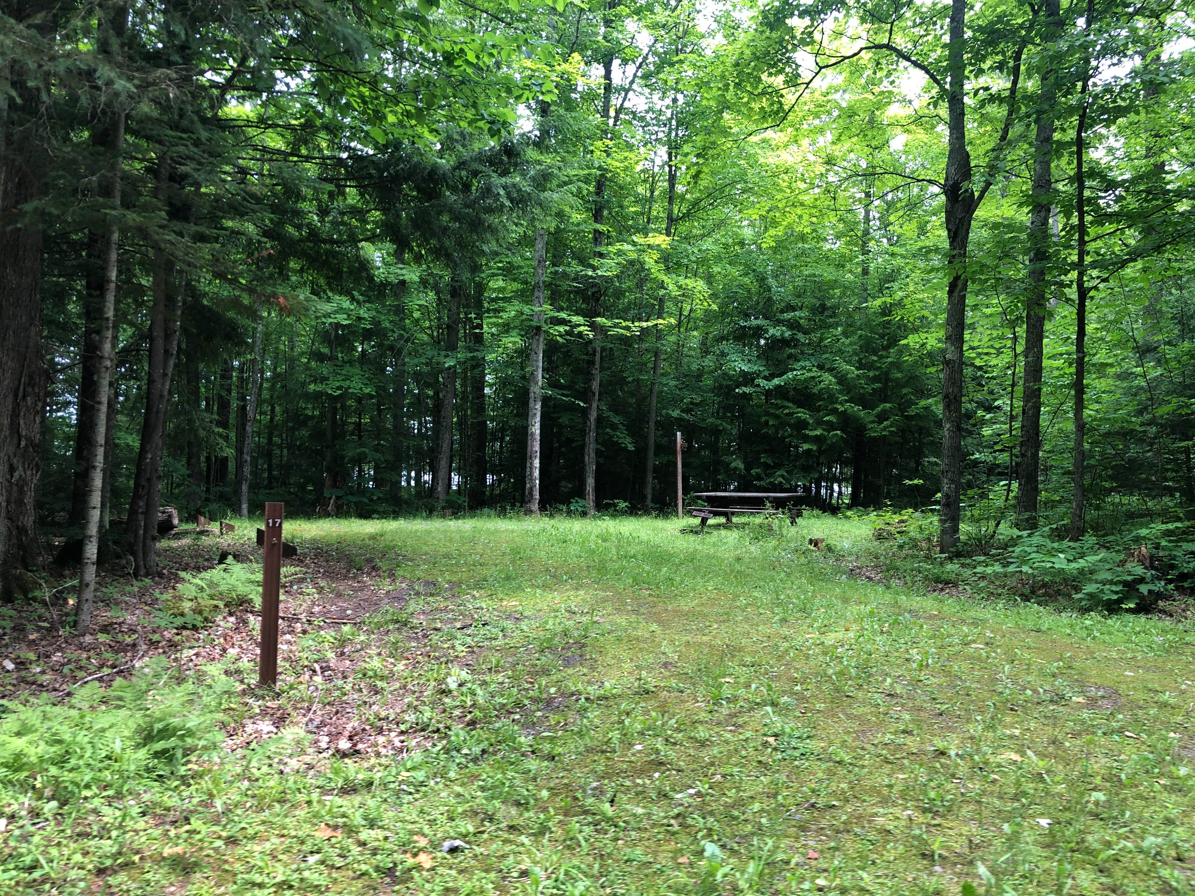 Camper-submitted photo at Bob Lake Campground near Trout Creek, MI