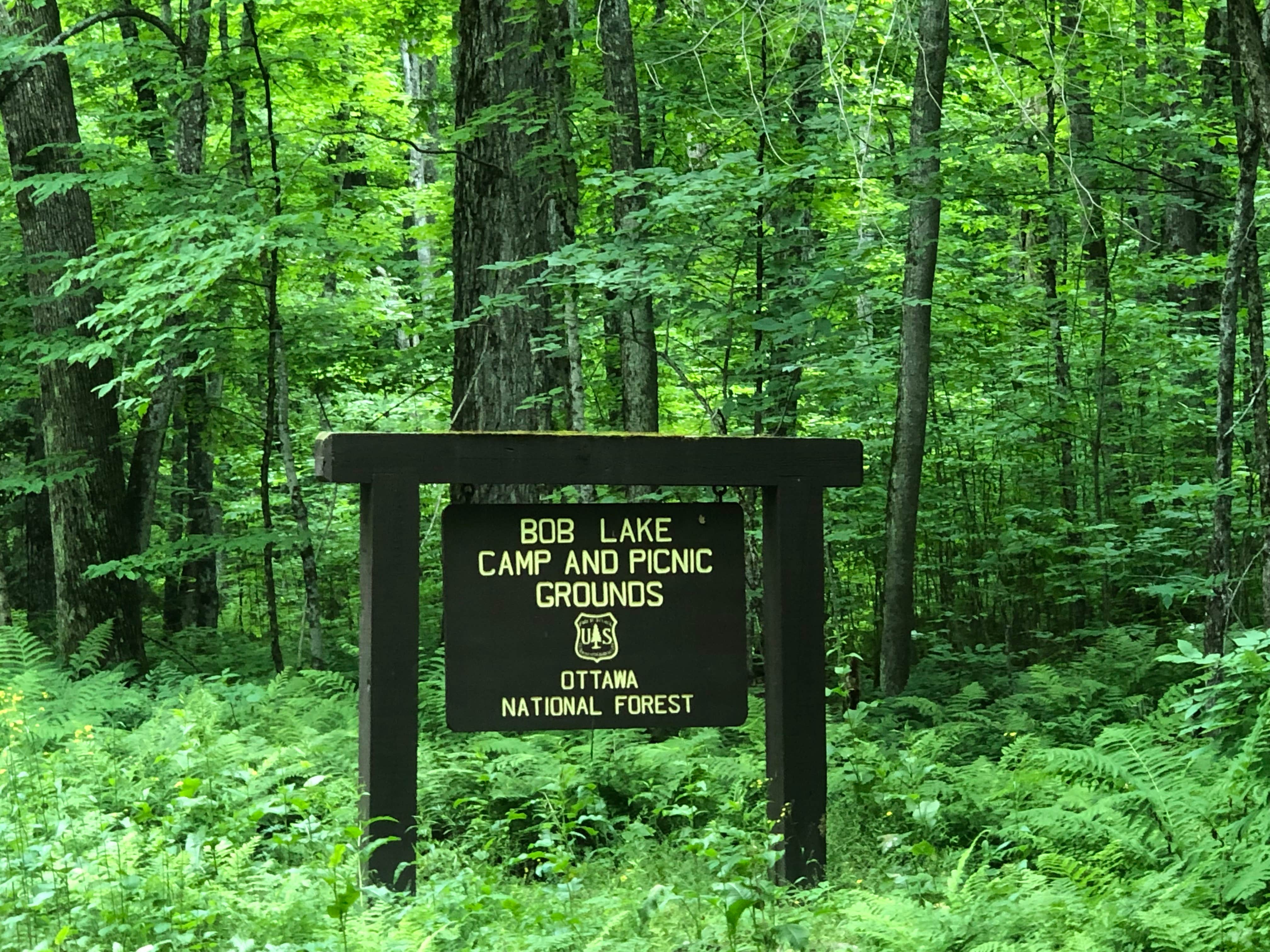 Camper-submitted photo at Bob Lake Campground near Trout Creek, MI