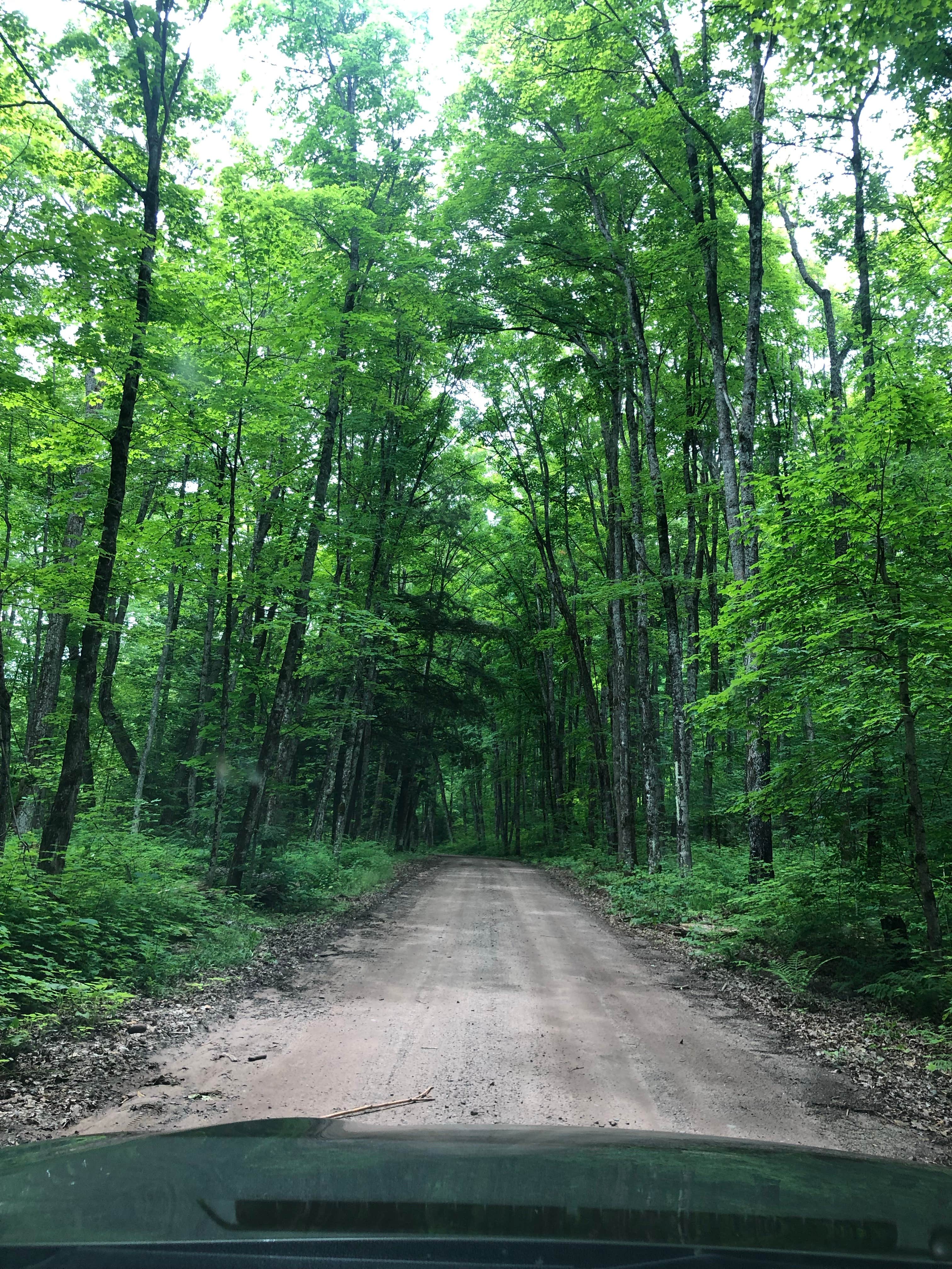 Camper-submitted photo at Bob Lake Campground near Trout Creek, MI