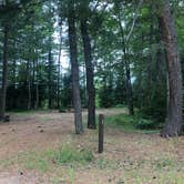 Review photo of Sparrow Rapids Campground by Art S., July 18, 2022