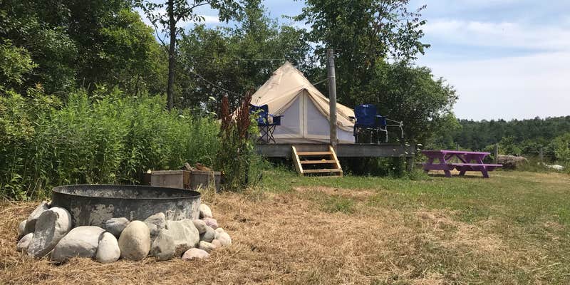 Camper submitted image from KZ Farm