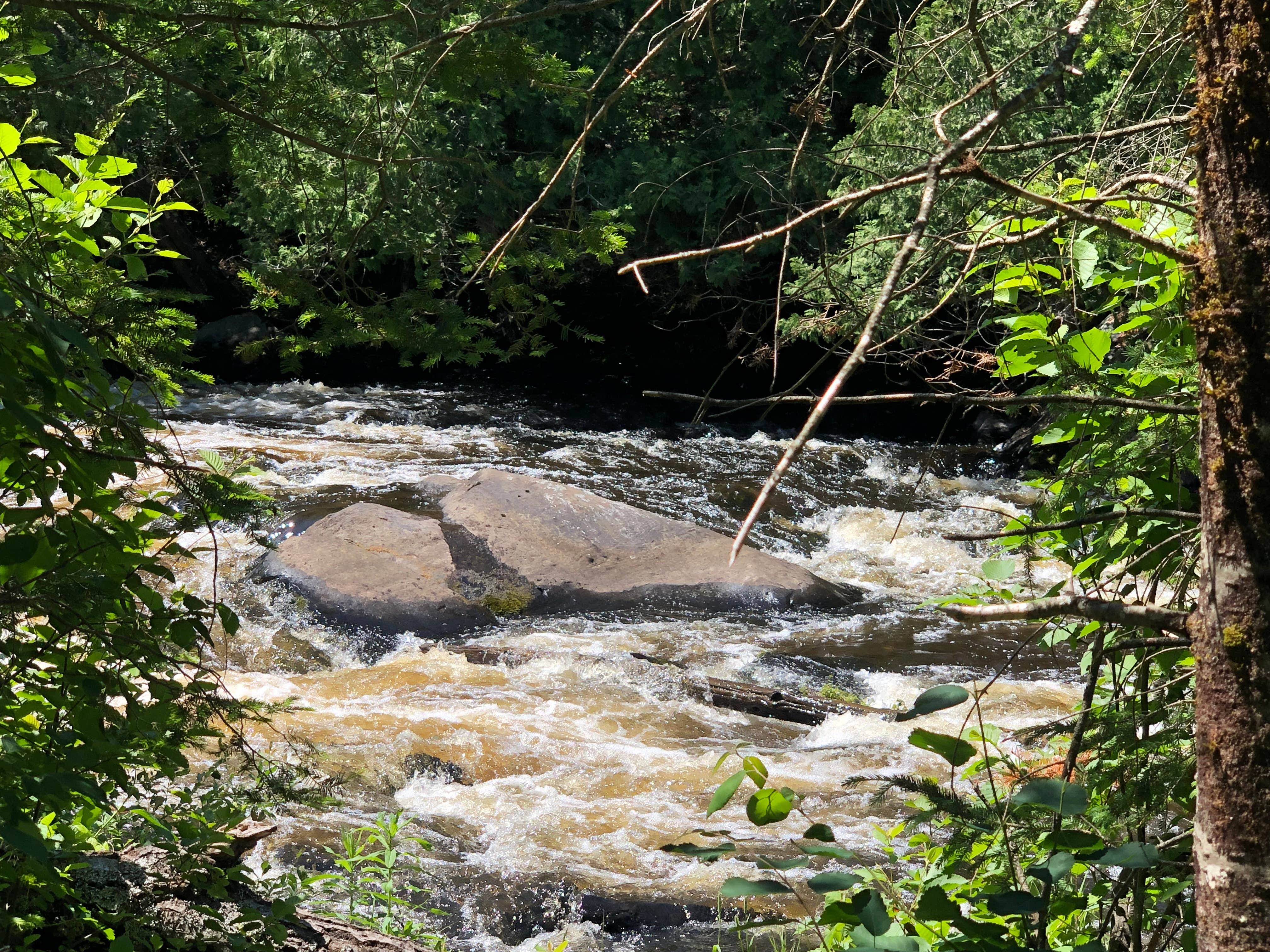 Camper-submitted photo at Burned Dam Campground near Trout Creek, MI