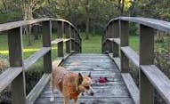 Art S.'s photo of camping with pets at Lake Le-Aqua-Na State Recreation Area near Galena, IL