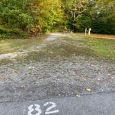 Review photo of Darien Lakes State Park Campground by Amanda K., July 1, 2022