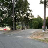 Review photo of Lake Ouachita State Park Campground by Shana D., July 18, 2022