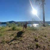 Review photo of Porcupine Bay Campground — Lake Roosevelt National Recreation Area by Katrina C., July 18, 2022