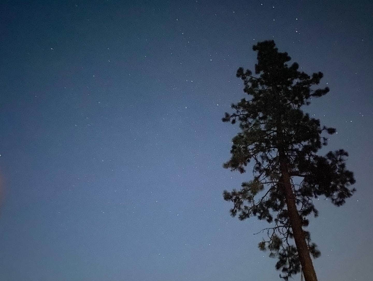 Camper-submitted photo at Porcupine Bay Campground — Lake Roosevelt National Recreation Area near Coulee Dam, WA